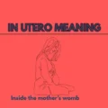 In Utero Meaning
