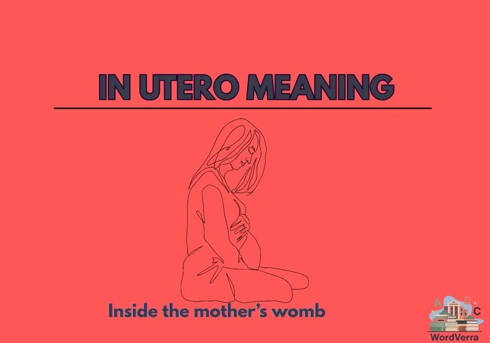 In Utero Meaning
