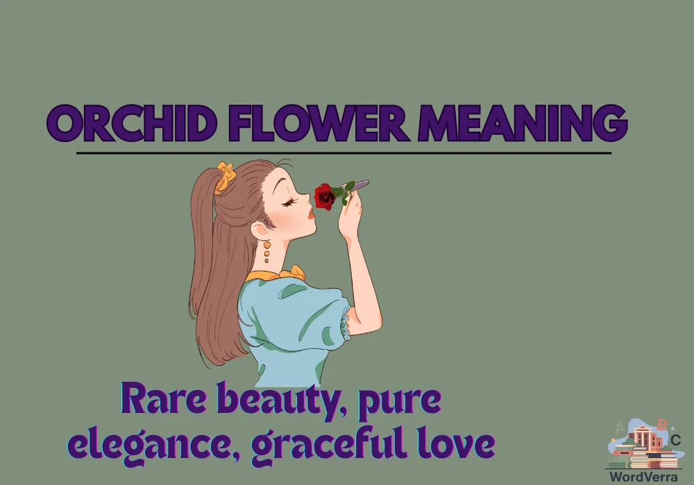 Orchid Flower Meaning: Symbolism &Modern Significance 2026