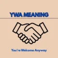 YWA Meaning