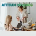 Attitude Meaning