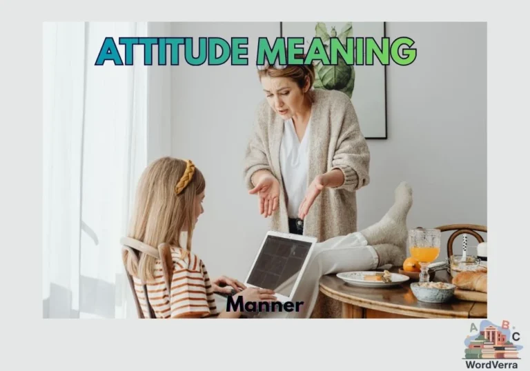 Attitude Meaning