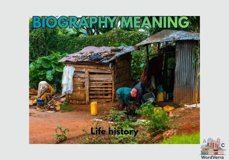 Biography Meaning