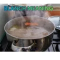 Blanch Meaning