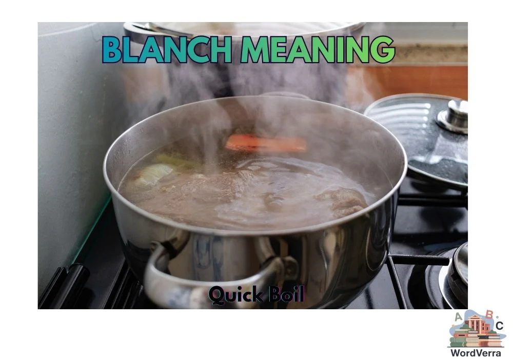Blanch Meaning