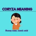 Coryza meaning