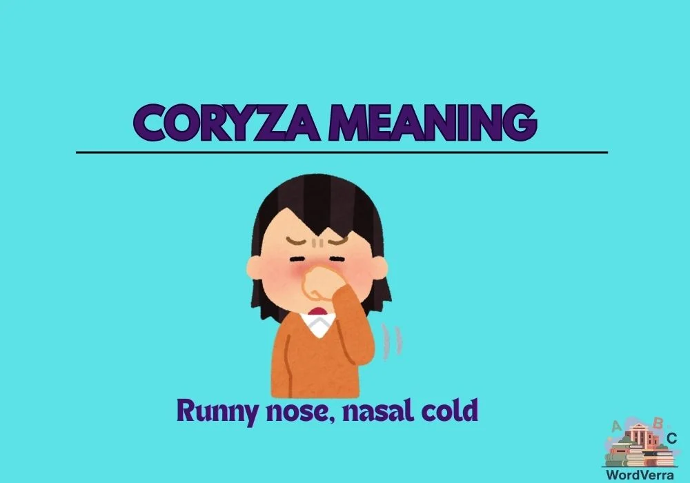 Coryza meaning