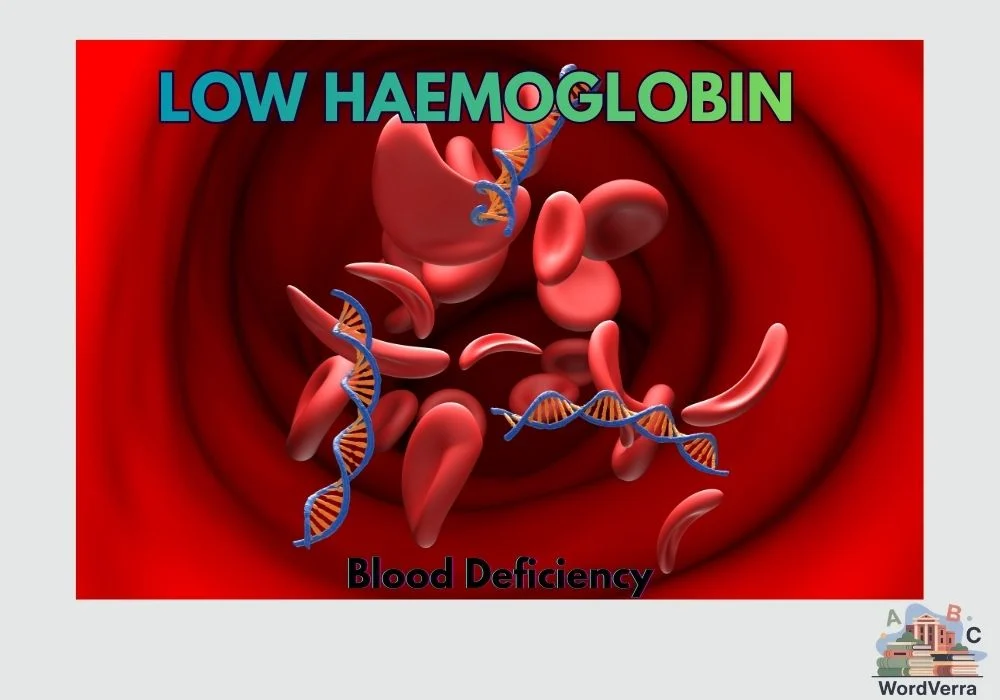 Low Haemoglobin Meaning