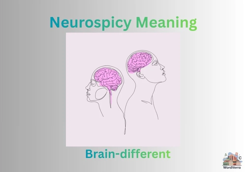 Neurospicy Meaning
