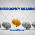 Neurospicy Meaning