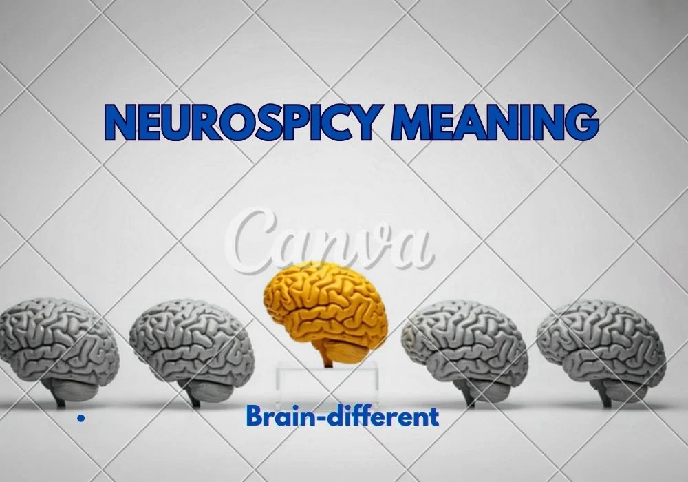 Neurospicy Meaning