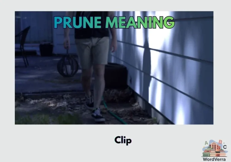 Prune Meaning