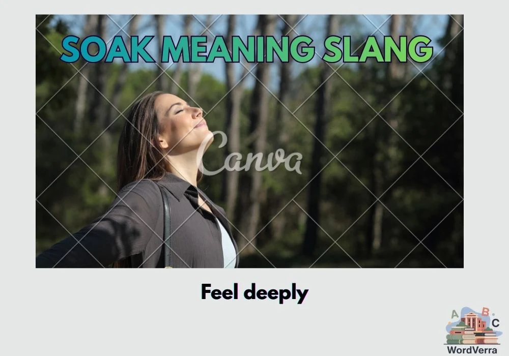 Soak Meaning Slang