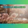 Suddle Meaning