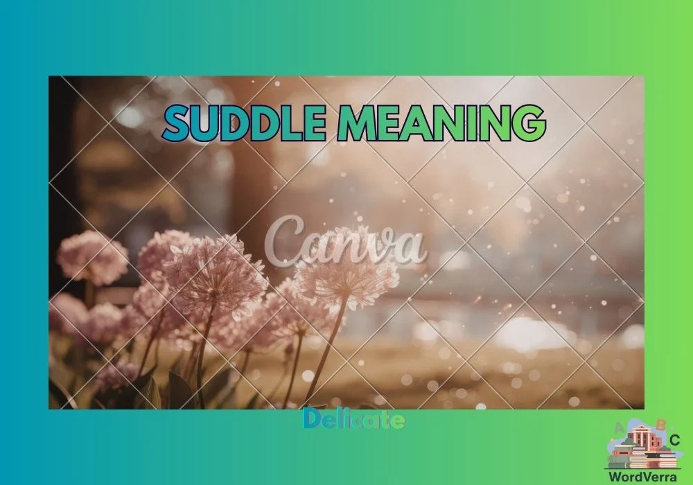 Suddle Meaning