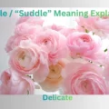 Suddle / “Suddle” Meaning Explained