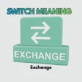 Switch Meaning