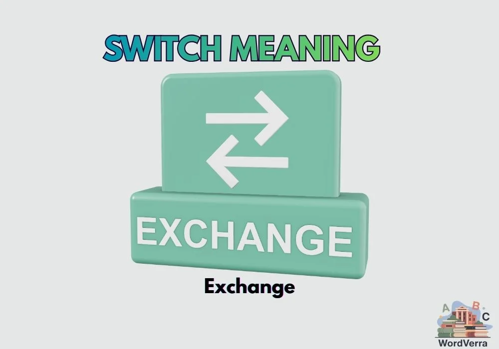 Switch Meaning