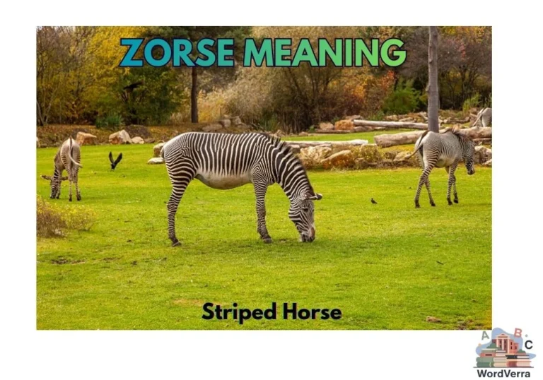 Zorse Meaning