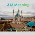 313 Meaning