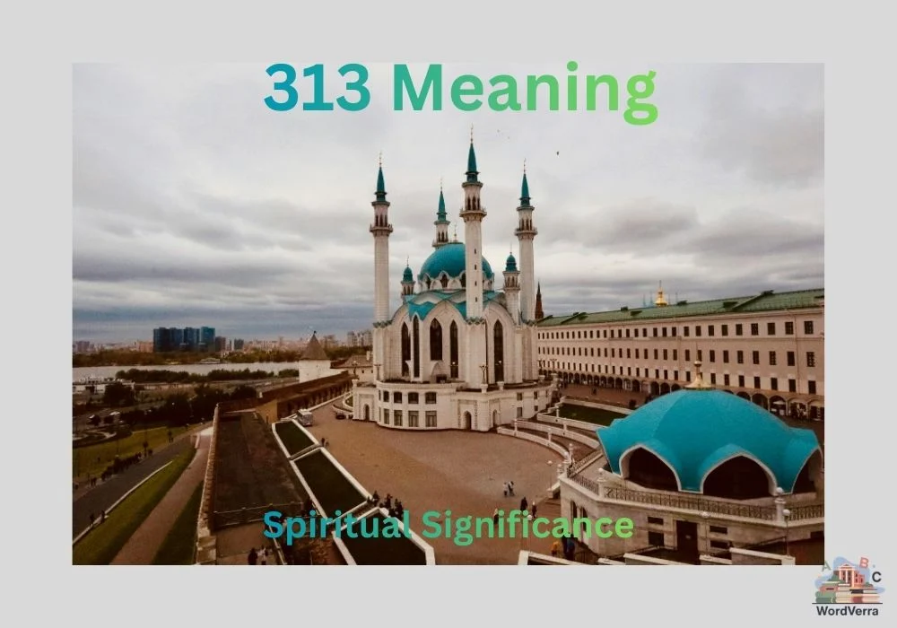313 Meaning