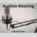 Audible Meaning