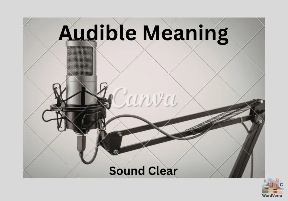 Audible Meaning