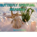 Butterfly Spiritual Meaning