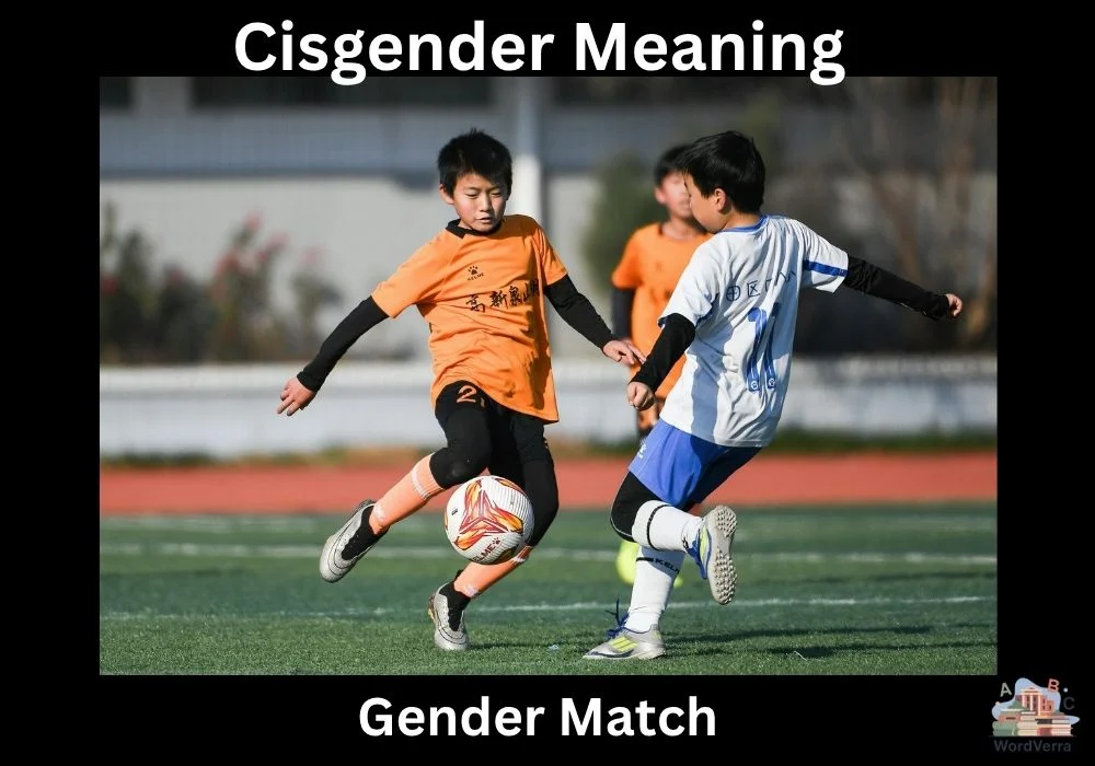Cisgender Meaning