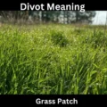Divot Meaning