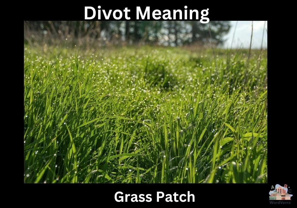 Divot Meaning