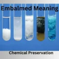 Embalmed Meaning