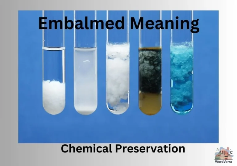 Embalmed Meaning