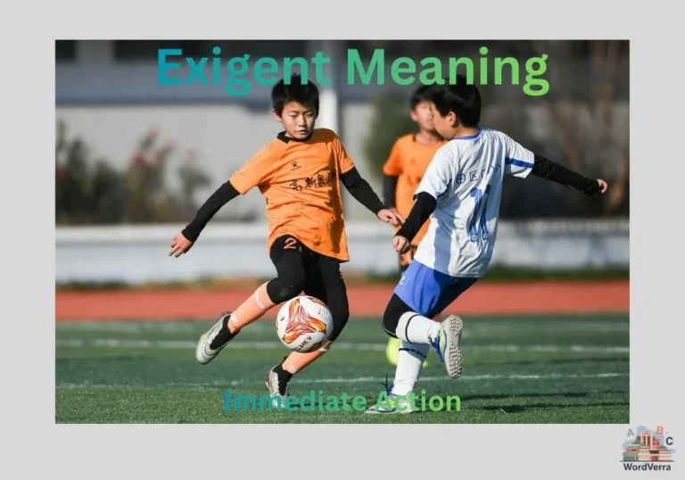 Exigent Meaning