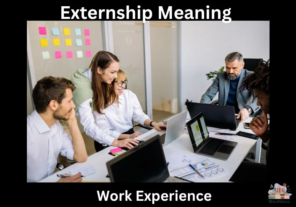 Externship Meaning