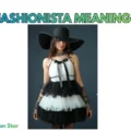 Fashionista Meaning