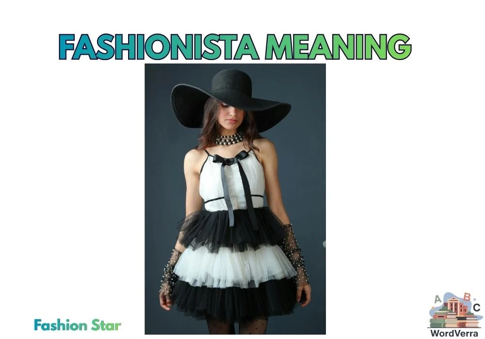 Fashionista Meaning