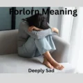 Forlorn Meaning