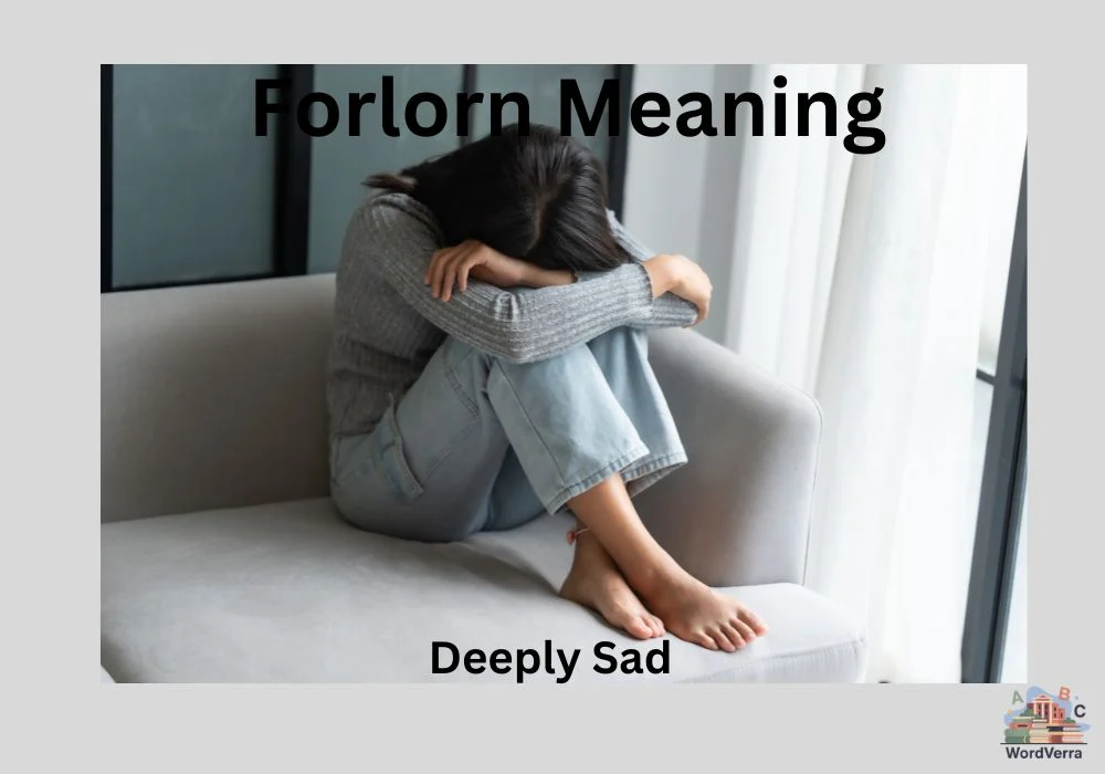 Forlorn Meaning