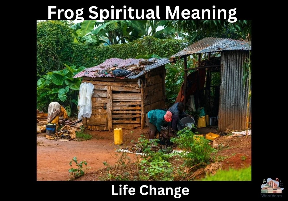 Frog Spiritual Meaning