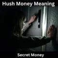 Secret Money