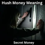 Secret Money