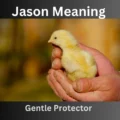 Jason Meaning