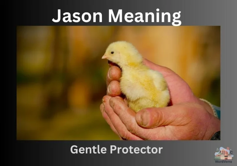 Jason Meaning
