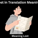 Lost in Translation Meaning