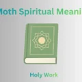 Moth Spiritual Meaning