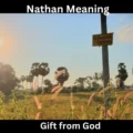 Nathan Meaning
