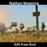 Nathan Meaning