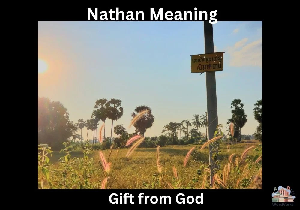 Nathan Meaning