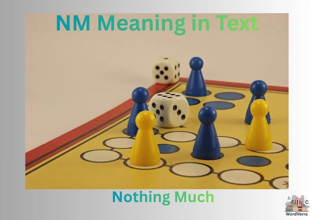NM Meaning in Text